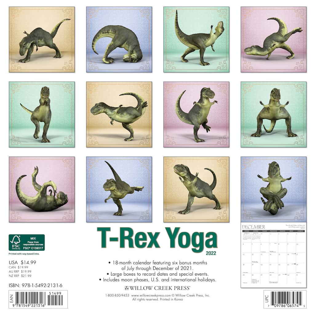 2025 TRex Yoga Wall Calendar Michaels